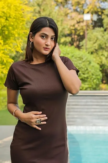 Brown Round Neck Bodycon Dress