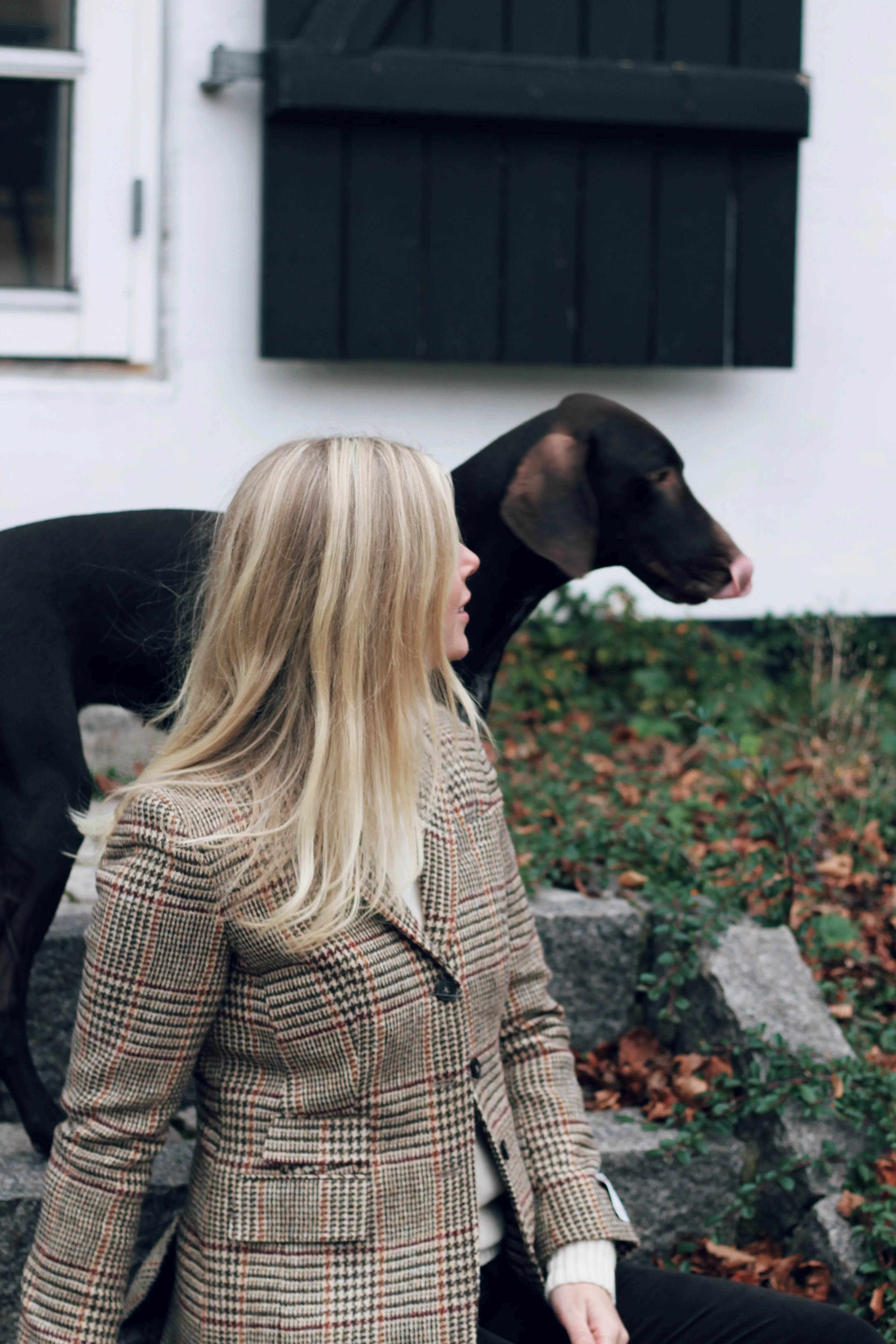 Carola blazer dame, Harris Tweed, Prince of Wales tern