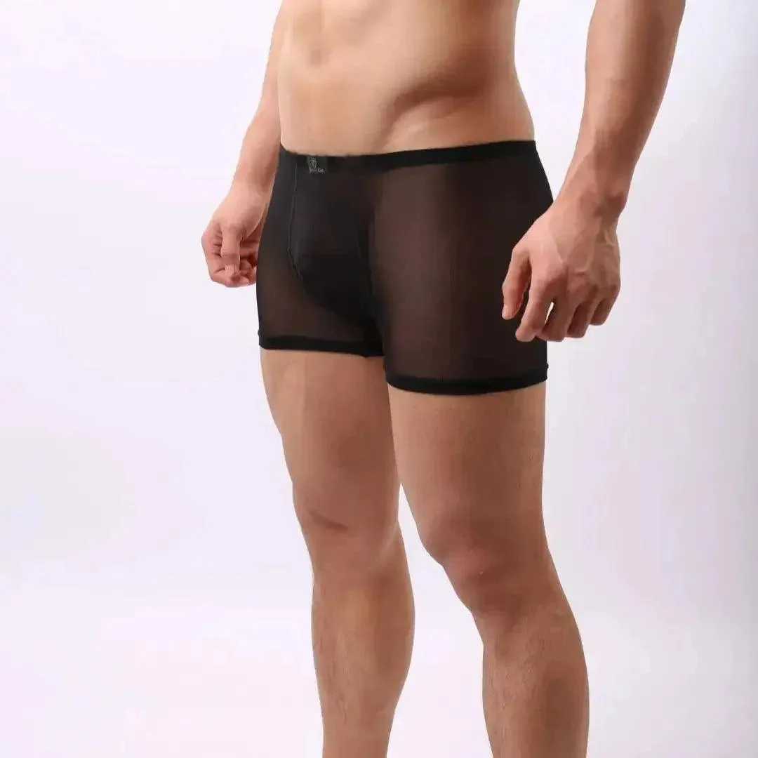 DomiGe Men's Sheer Mesh Boxer Shorts - Breathable & Sexy Male Underwear