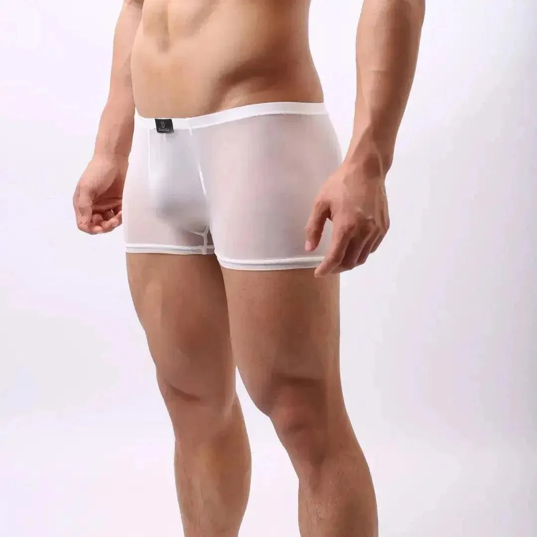 DomiGe Men's Sheer Mesh Boxer Shorts - Breathable & Sexy Male Underwear