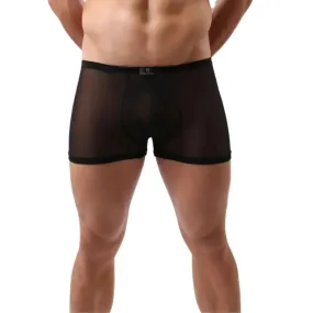 DomiGe Men's Sheer Mesh Boxer Shorts - Breathable & Sexy Male Underwear