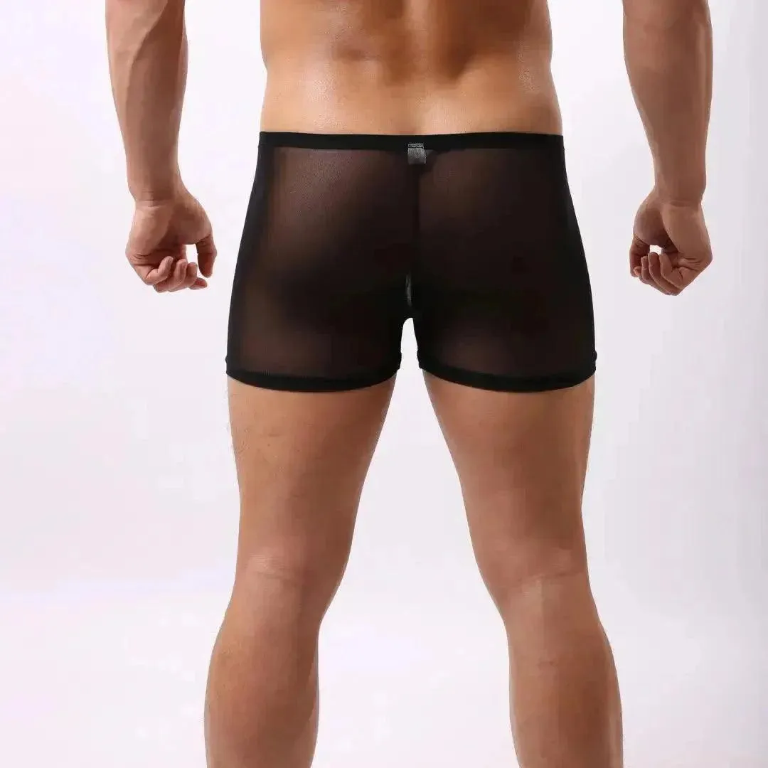 DomiGe Men's Sheer Mesh Boxer Shorts - Breathable & Sexy Male Underwear