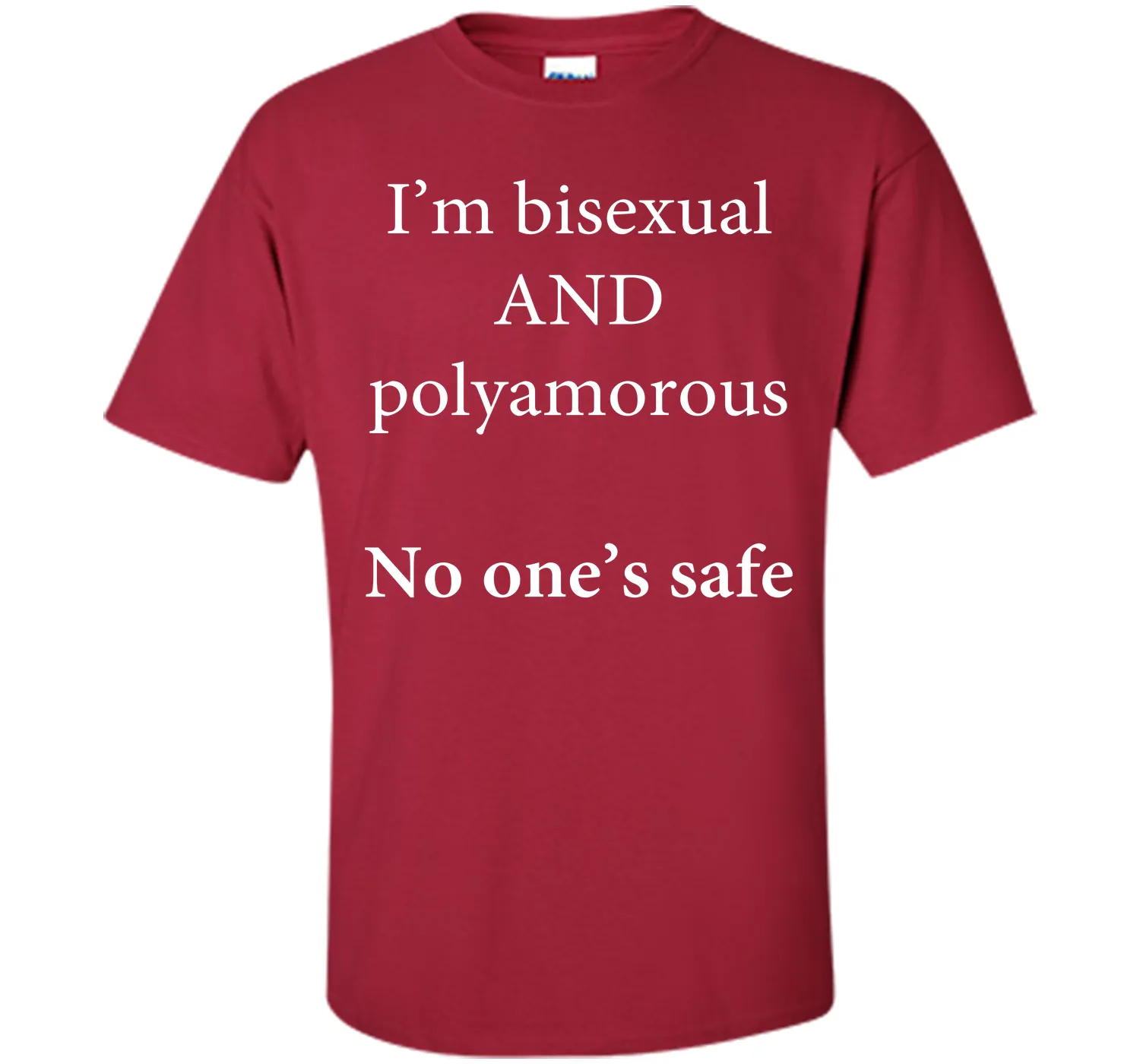 I'm Bisexual and Polyamorous, No One's Safe T-Shirt