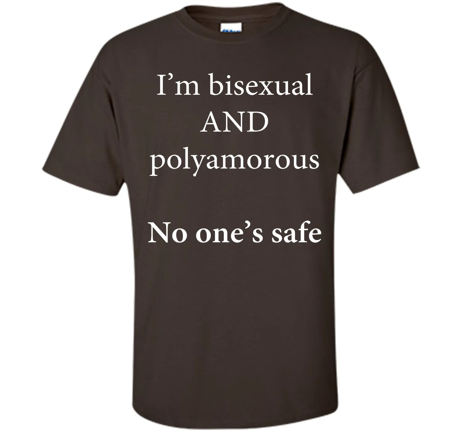 I'm Bisexual and Polyamorous, No One's Safe T-Shirt