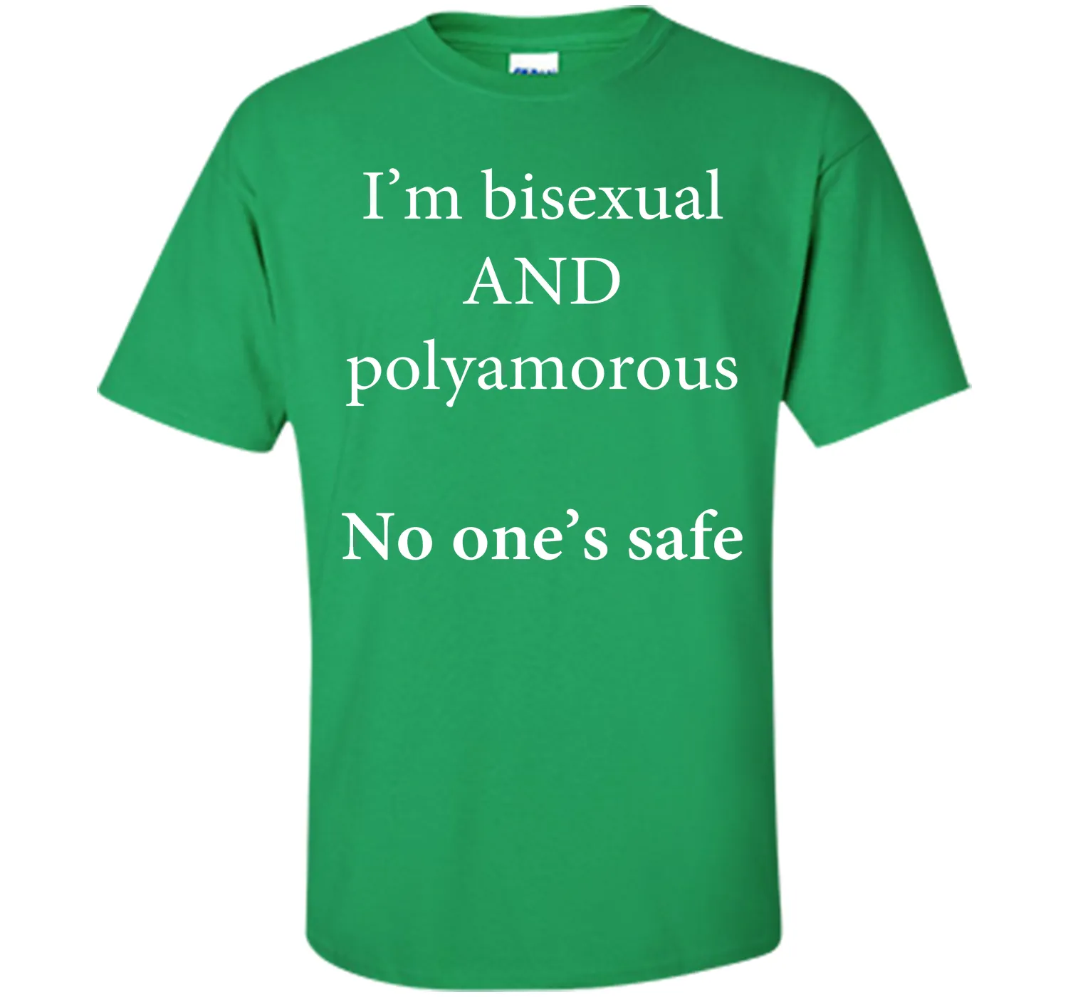 I'm Bisexual and Polyamorous, No One's Safe T-Shirt